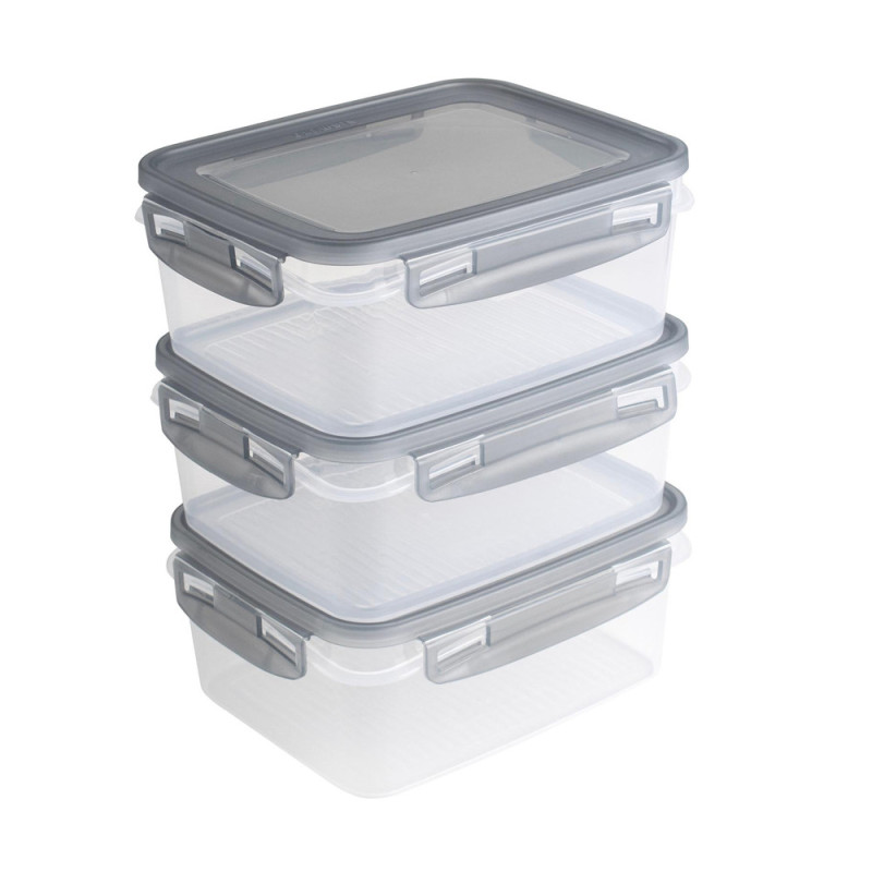 Boîte de congélation avec clips Club Cuisine transparent et gris 1,2 L 3 pièces SUNWARE