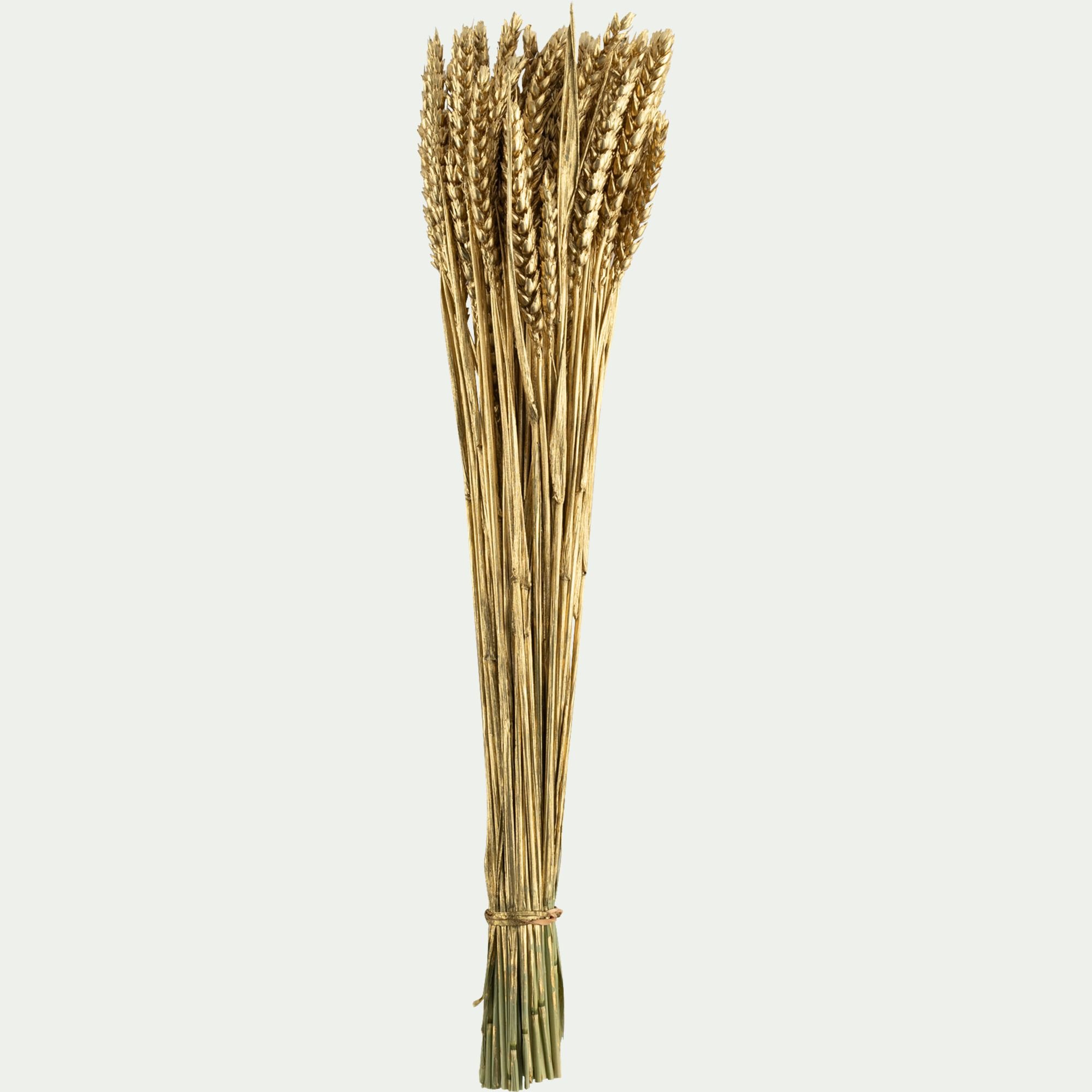 TRITY - Bouquet de blé séché H55cm - doré