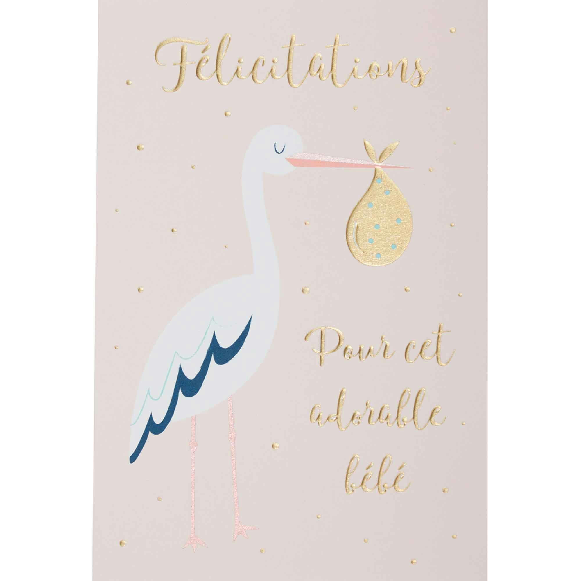 - Carte naissance cigogne blanche