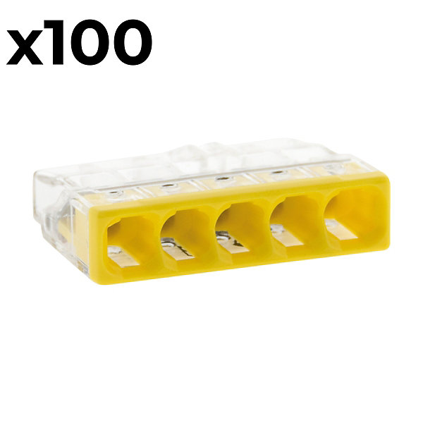 Boîte de 100 bornes 5 entrées série 2273 - Wago