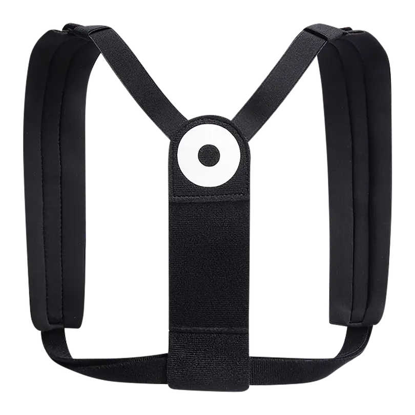 Haltungsgurt Posture S/M/L