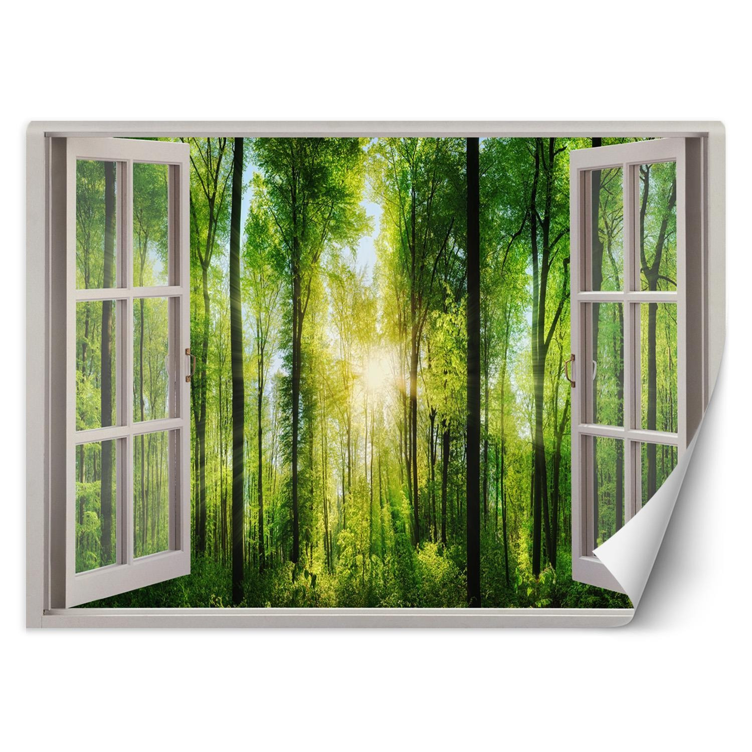 Feeby Fototapeta, Widok Okno promienie słońca 140x100