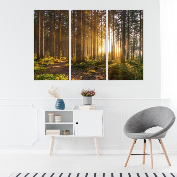Obraz Tryptyk ZACHÓD SŁOŃCA W LESIE 3D 60x40cm