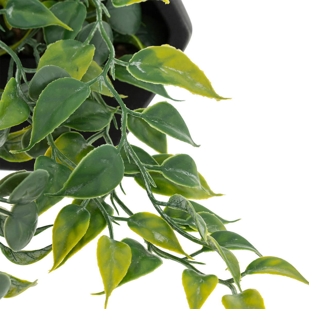 Artificial hanging plant "Ayame" Black pot, H.14 cm