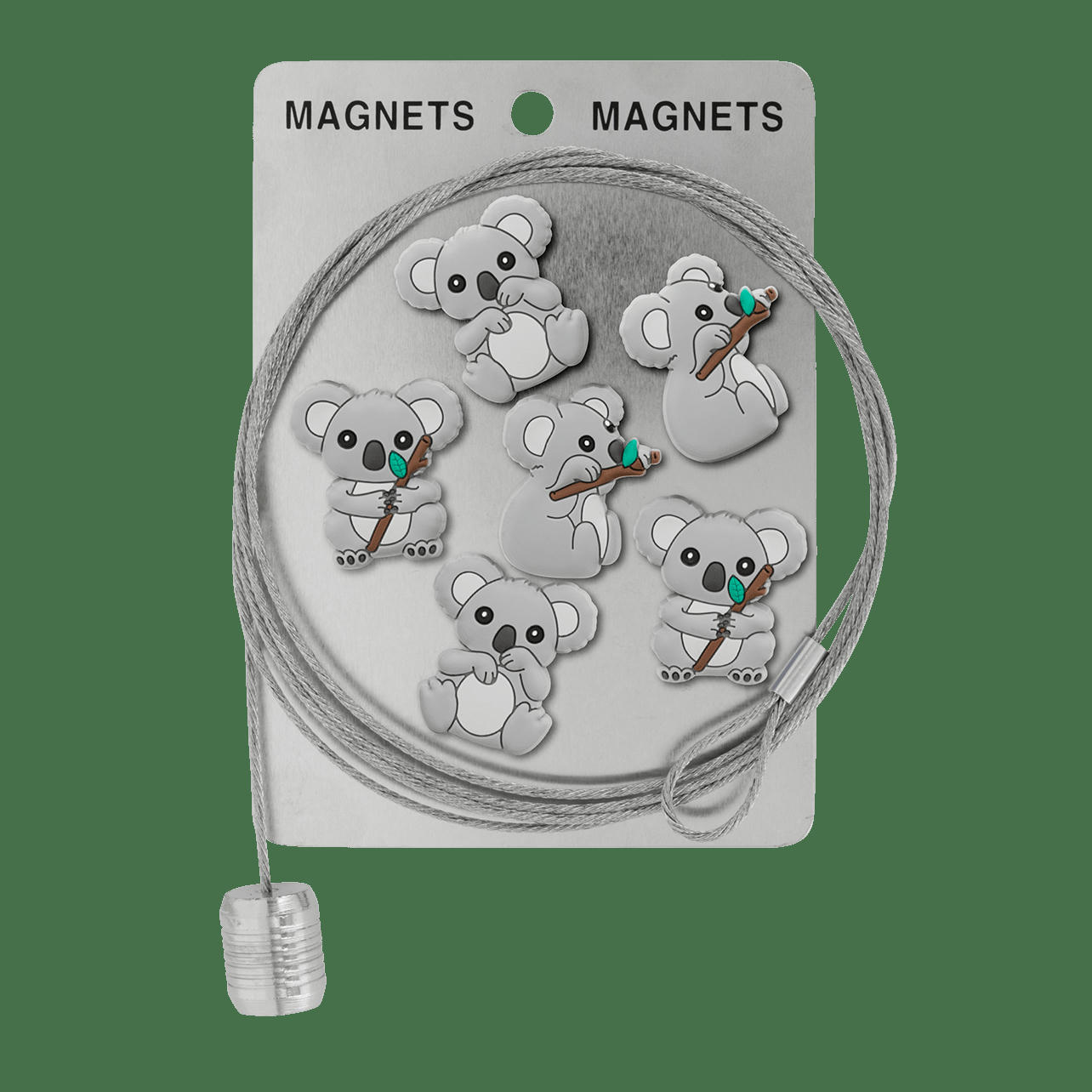 - Câble porte photos et magnets