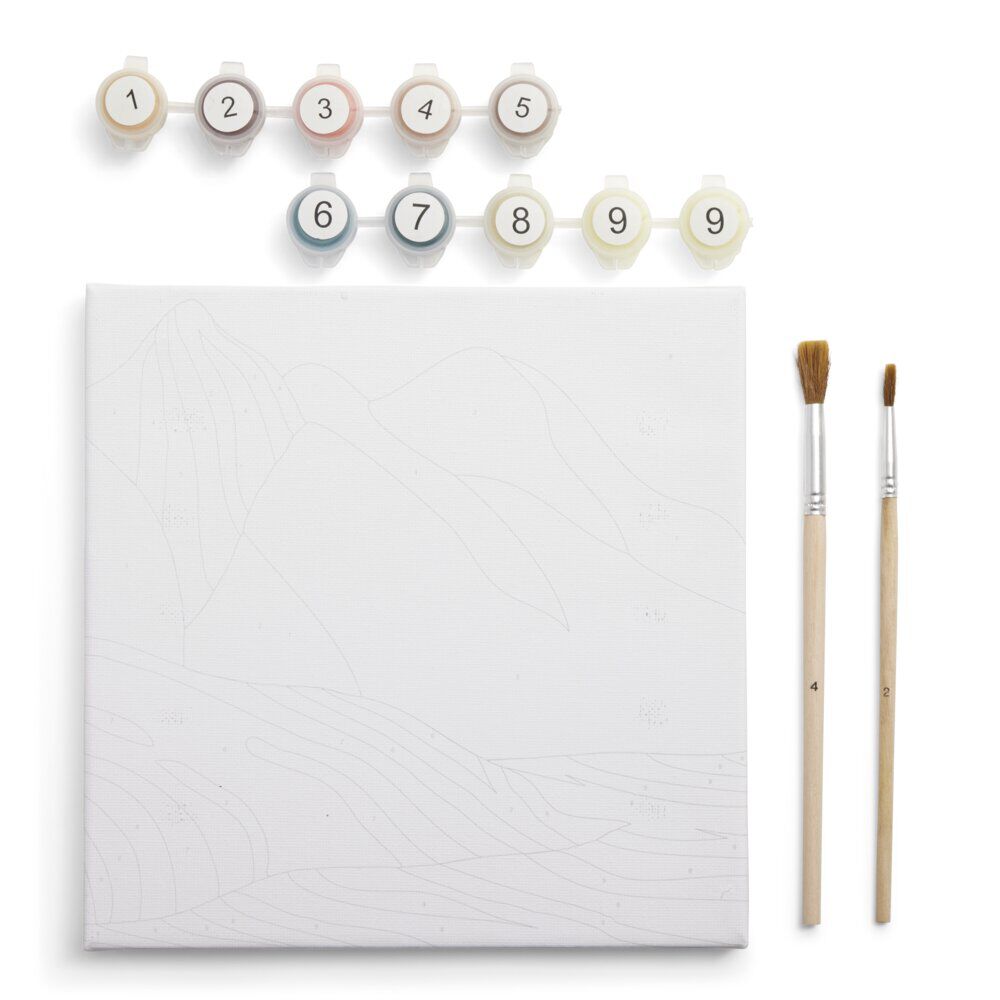 Kit de toile à peindre par numéros 41x24cm (plusieurs modèles)