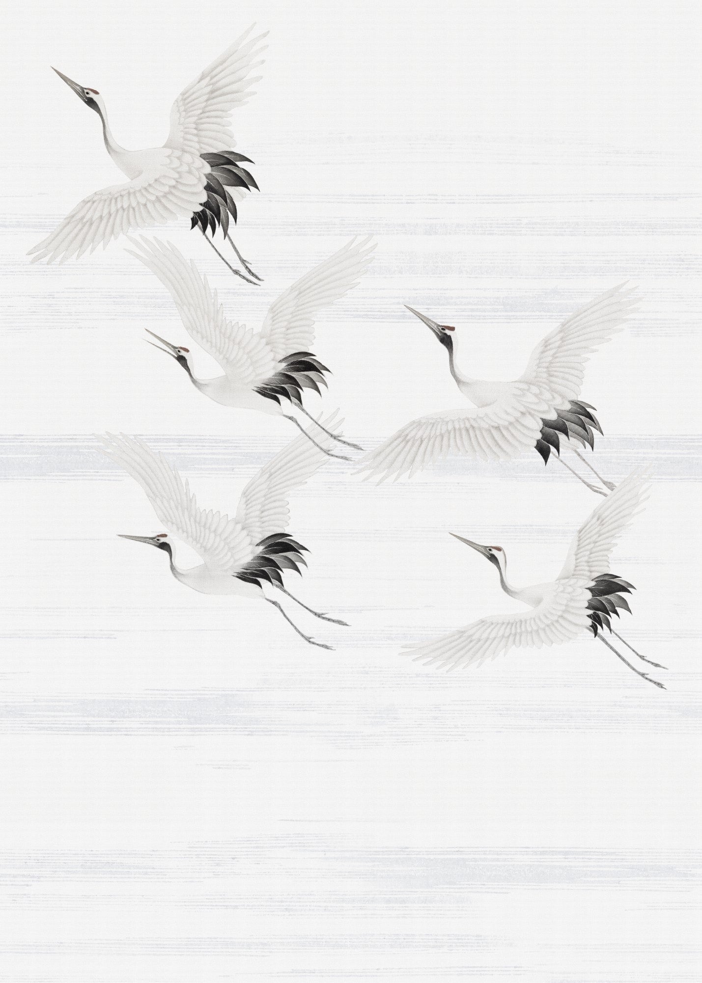 Superfresco Easy Fotobehang - Kraanvogels - 280x200cm