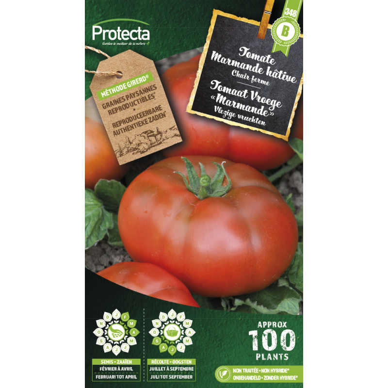 Semences de tomate Marmande hâtive PROTECTA