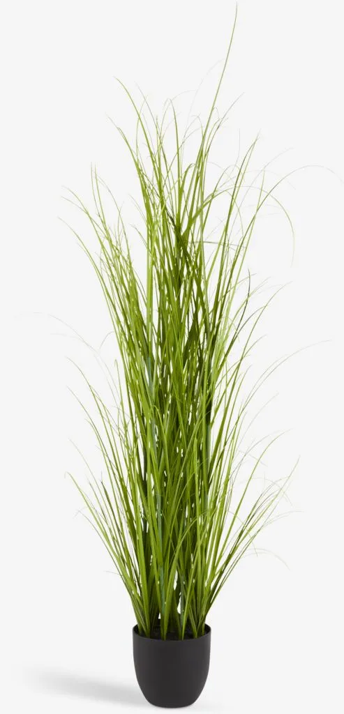 MARKUSFLUE