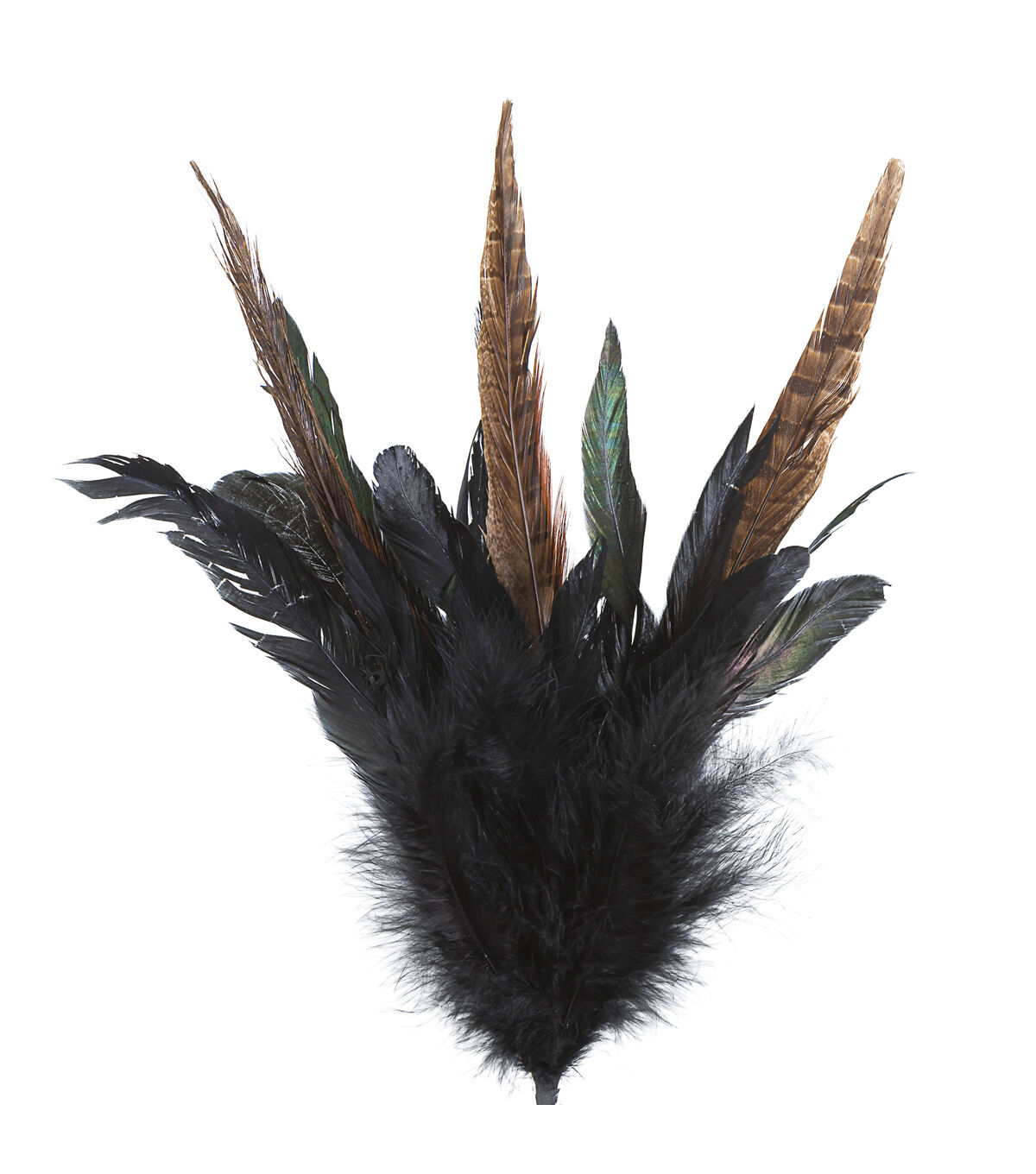 30 Black & Brown Feather Stem by Bloom Room