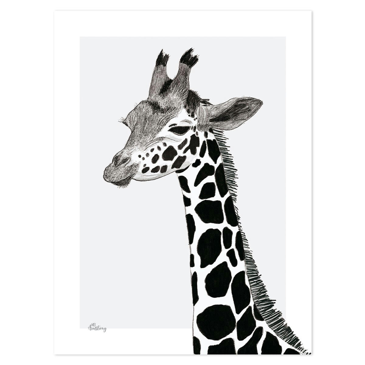 SERENGETI - Affiche girafe en Papier Noir