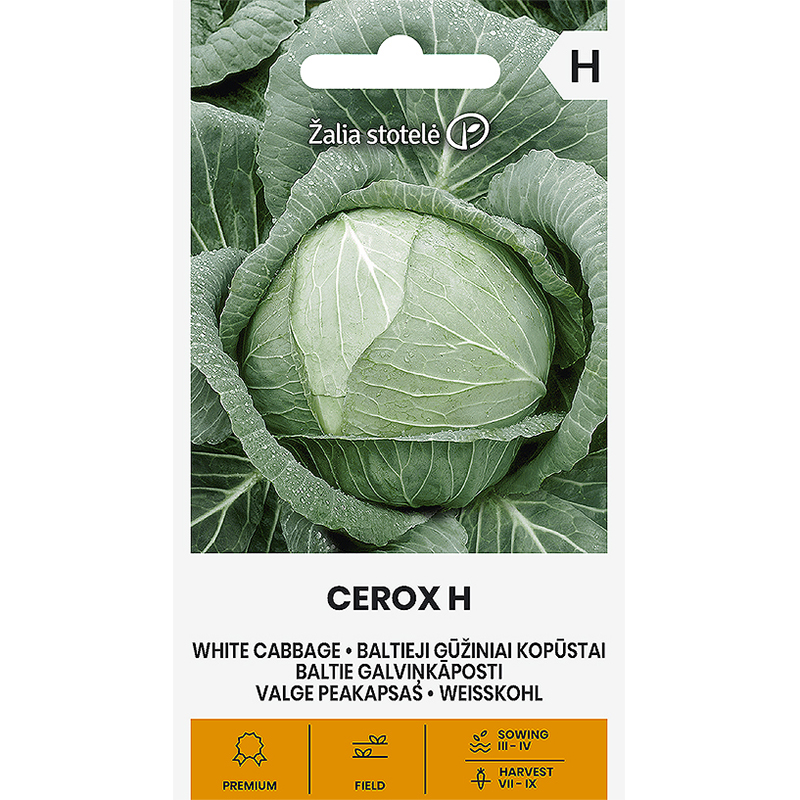 Vitkål 'Cerox' F1