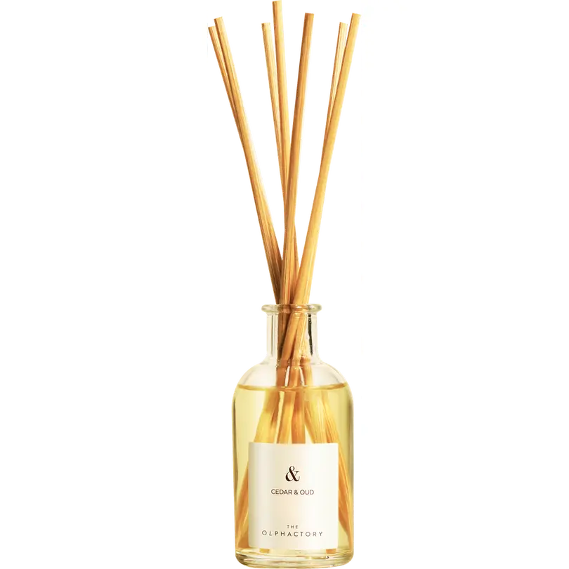 Diffusor THE OLFACTORY