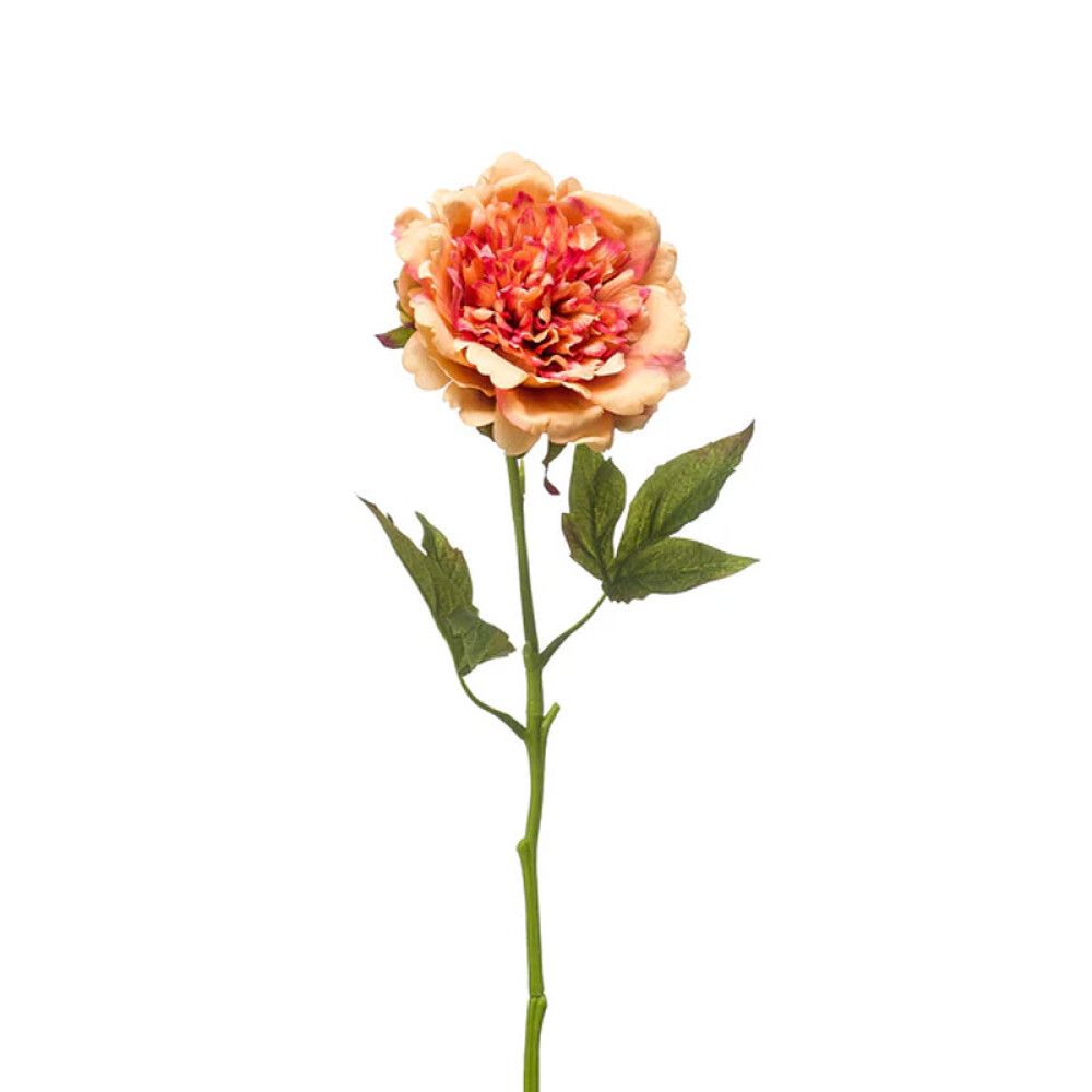 KUNSTPLANTE EMERALD PION SNITTBLOMST ORANSJE 56CM