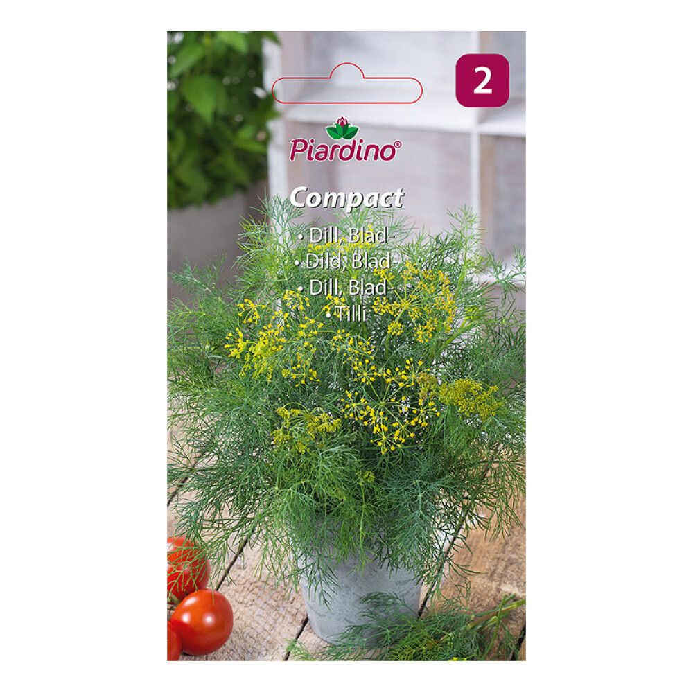 KRYDDERURTER PIARDINO DILL COMPACT