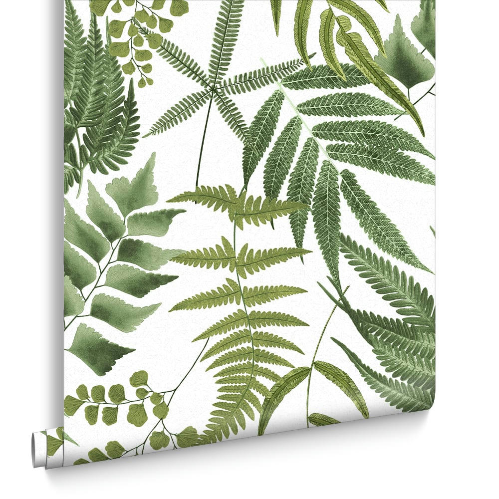 - papier peint midsummer fern blanc vert 1005x52cm