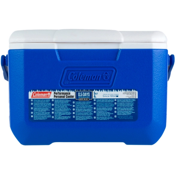Kühlbox, 4,7 l, LxBxH: 18x27x20 cm, blau-weiß