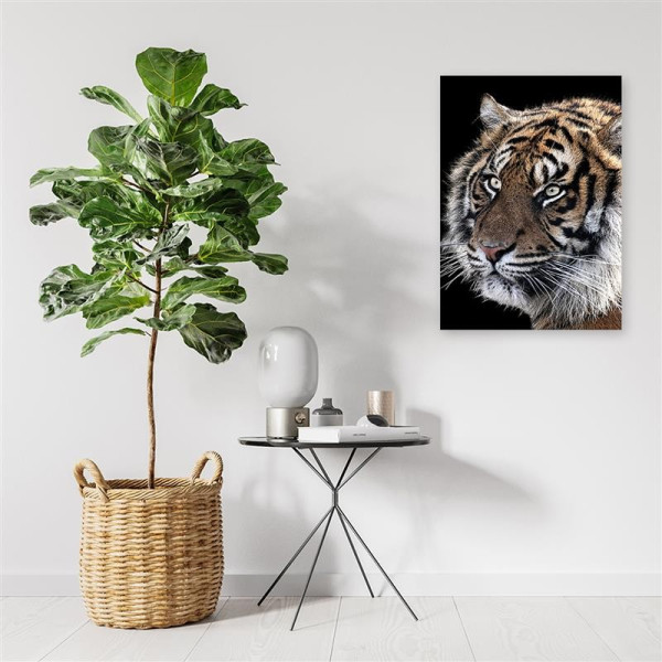Feeby Obraz na płótnie Tygrys na czarnym tle 40x60