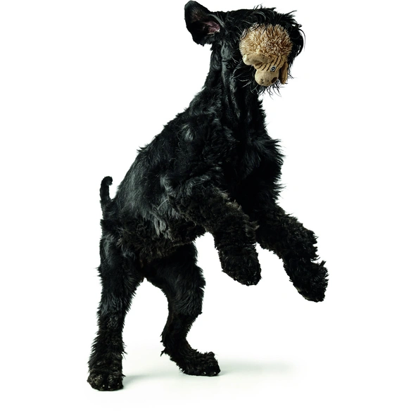 Hundespielzeug, beige