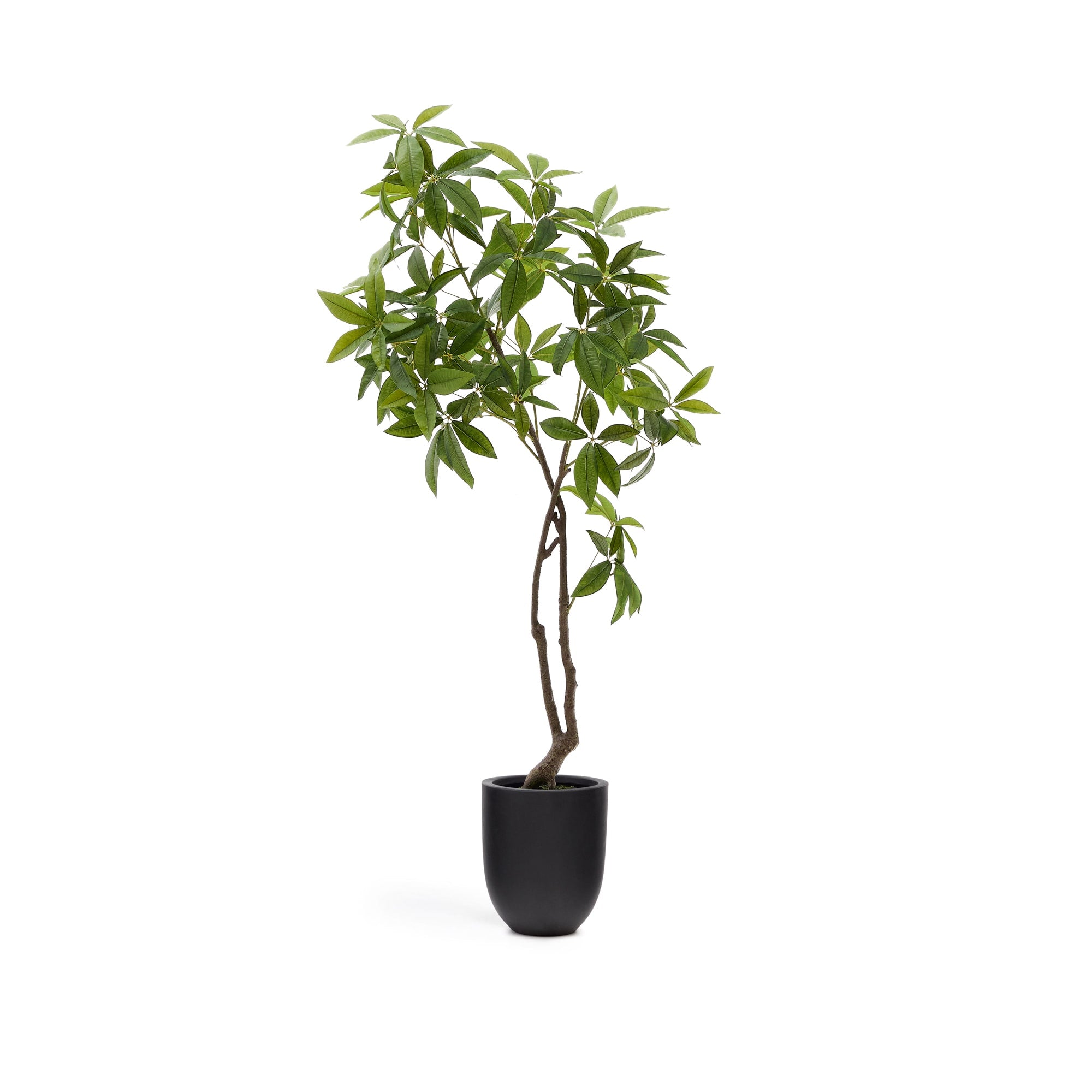Kave Home - Kunstboom Pachira met zwarte pot 180 cm