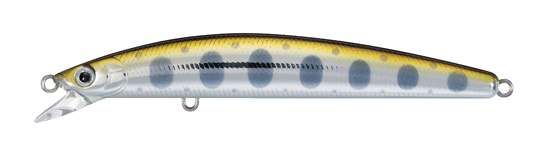 TD MINNOW