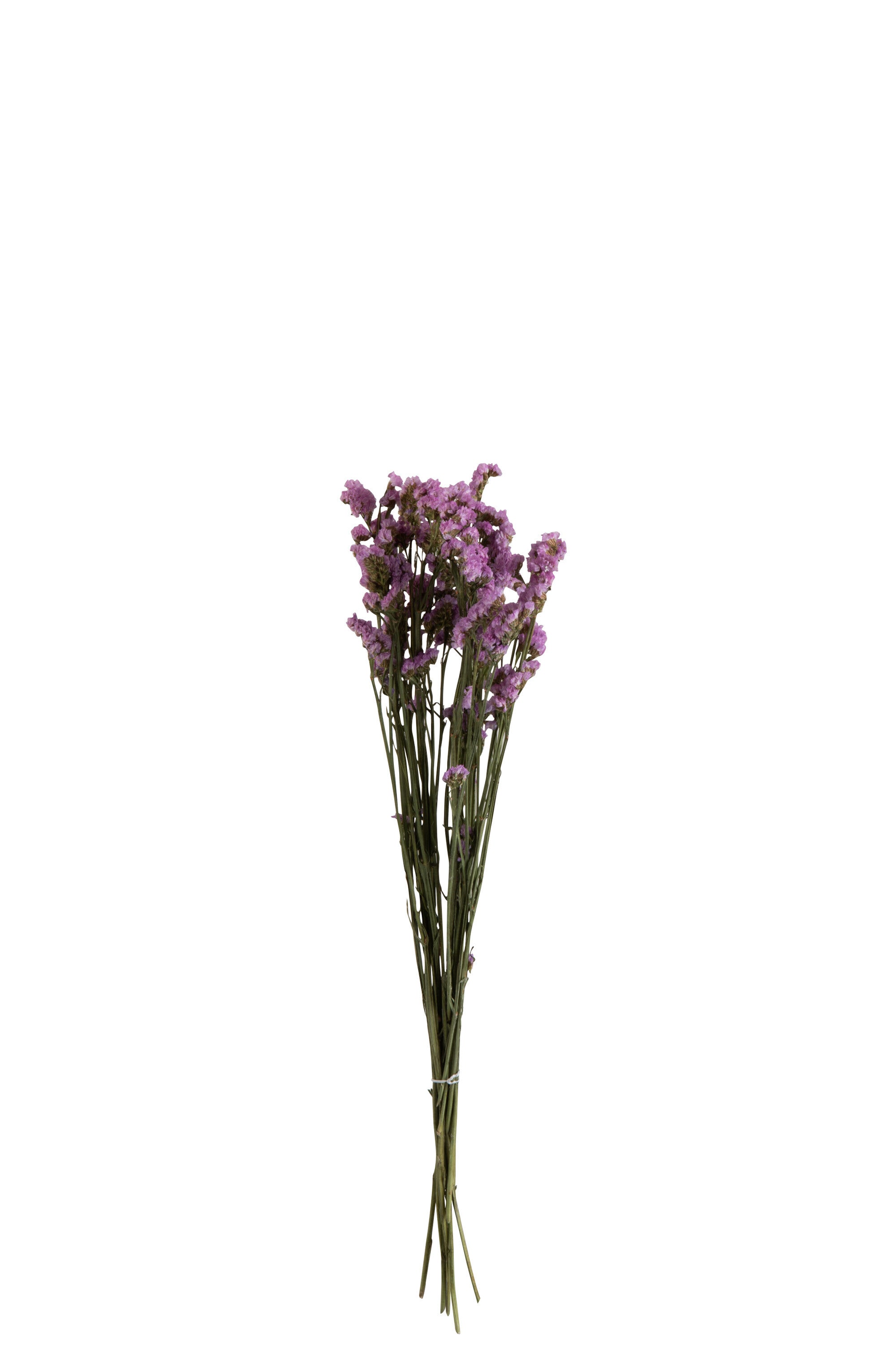 J-Line droogbloemen - Bundel 'Vergeet Mij Nietje' - riet - paars