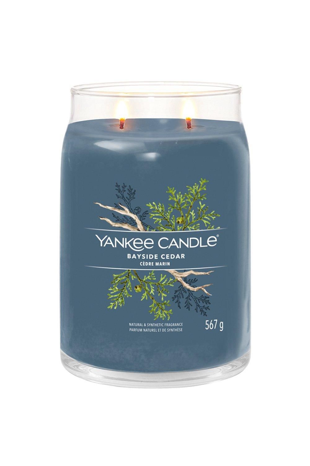 Yankee Candle Signature Large Jar Bayside Cedar