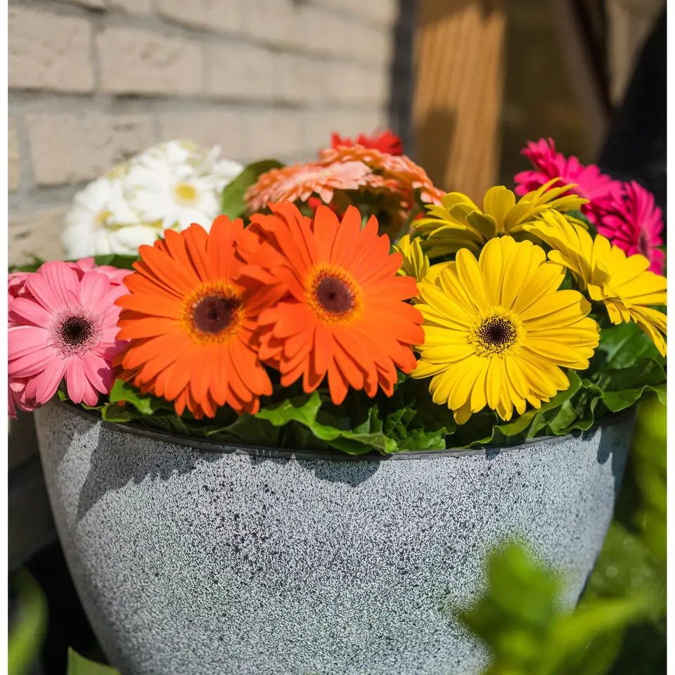 Ter Steege Bloempot/plantenpot - buiten - betongrijs - D19/H15 cm