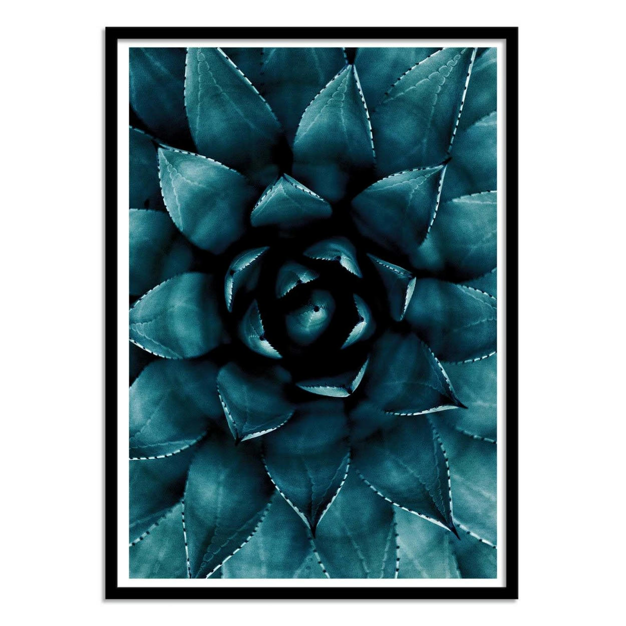 KUBISTIKA - CACTUS NO 9 - KUBISTIKA - Affiche d'art 50 x 70 cm