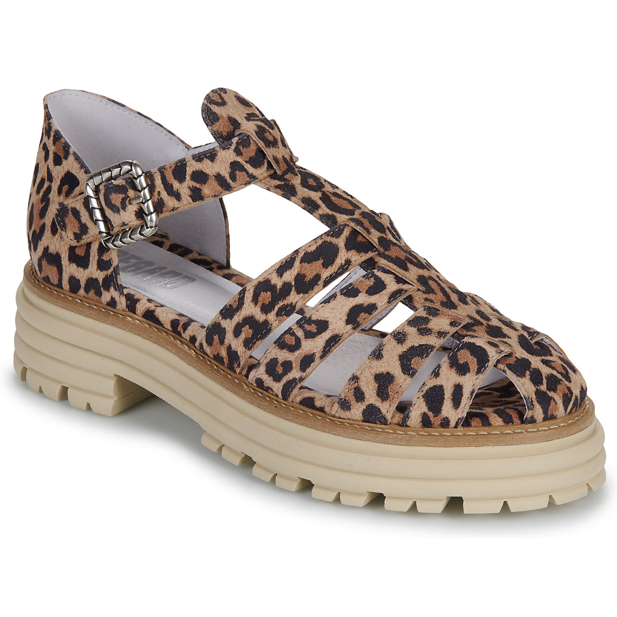 Regard - COME - Leopard