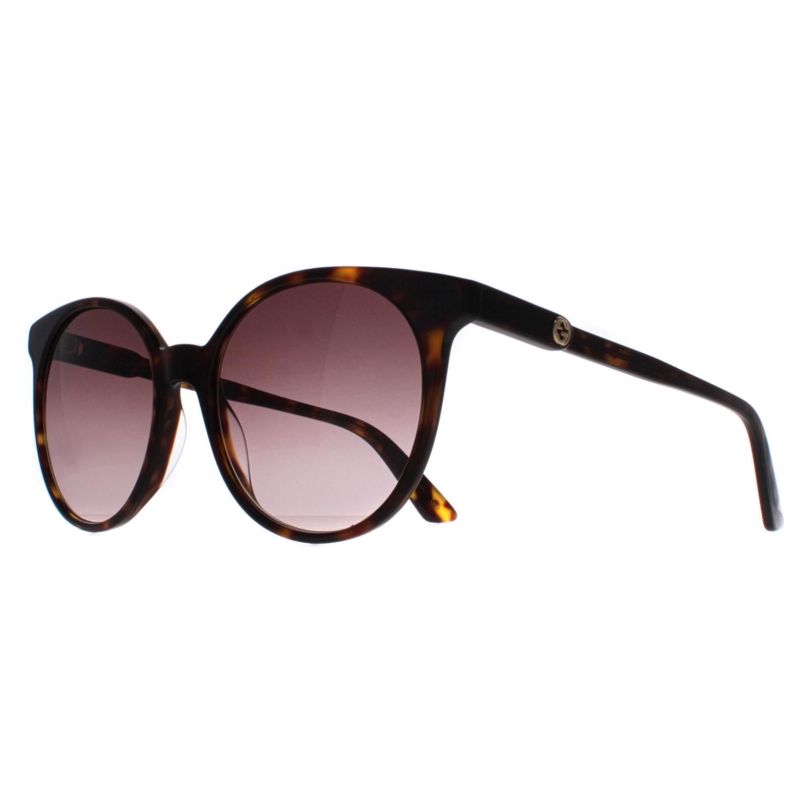 Gucci Round Dark Havana Brown Gradient GG0488S