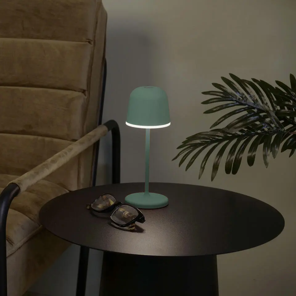 EGLO Mannera-S Tafellamp/Priklamp - USB-C - H 20 cm - Groen