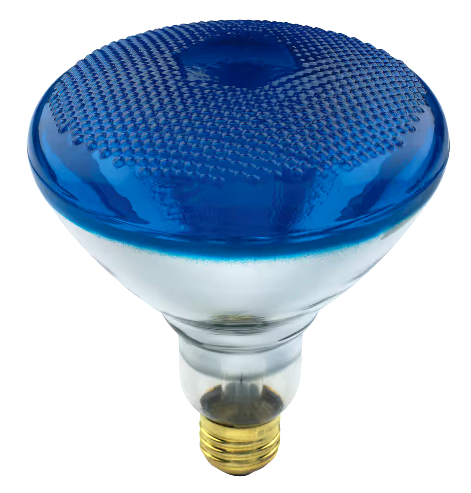 NOMA BR38 E26 Base Dimmable Incandescent Flood Light Bulb, Assorted Colours, 100W