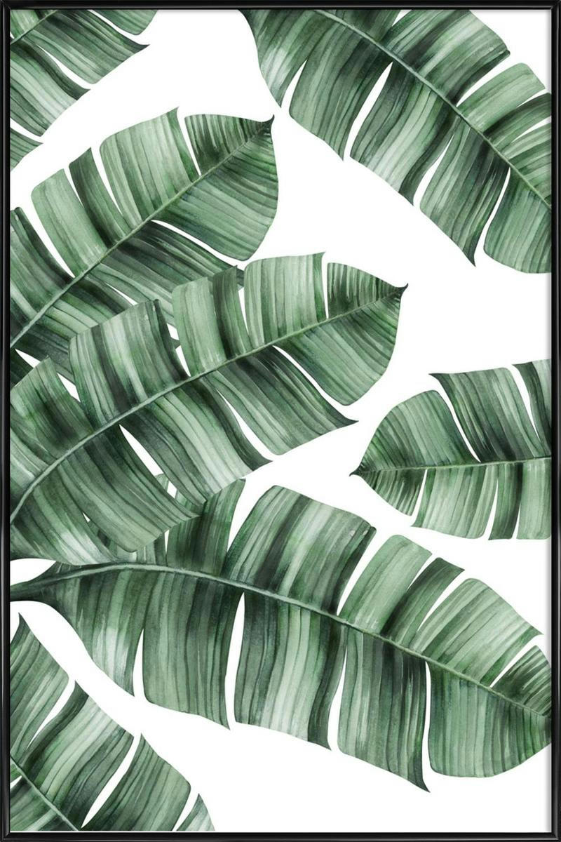 TROPICAL NO. 8 - Affiche dans cadre standard (noir) blanc & vert 30x45