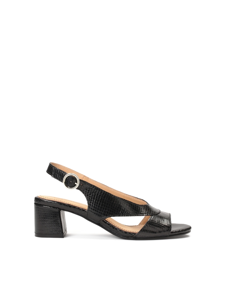 Black leather sandals on a wide heel