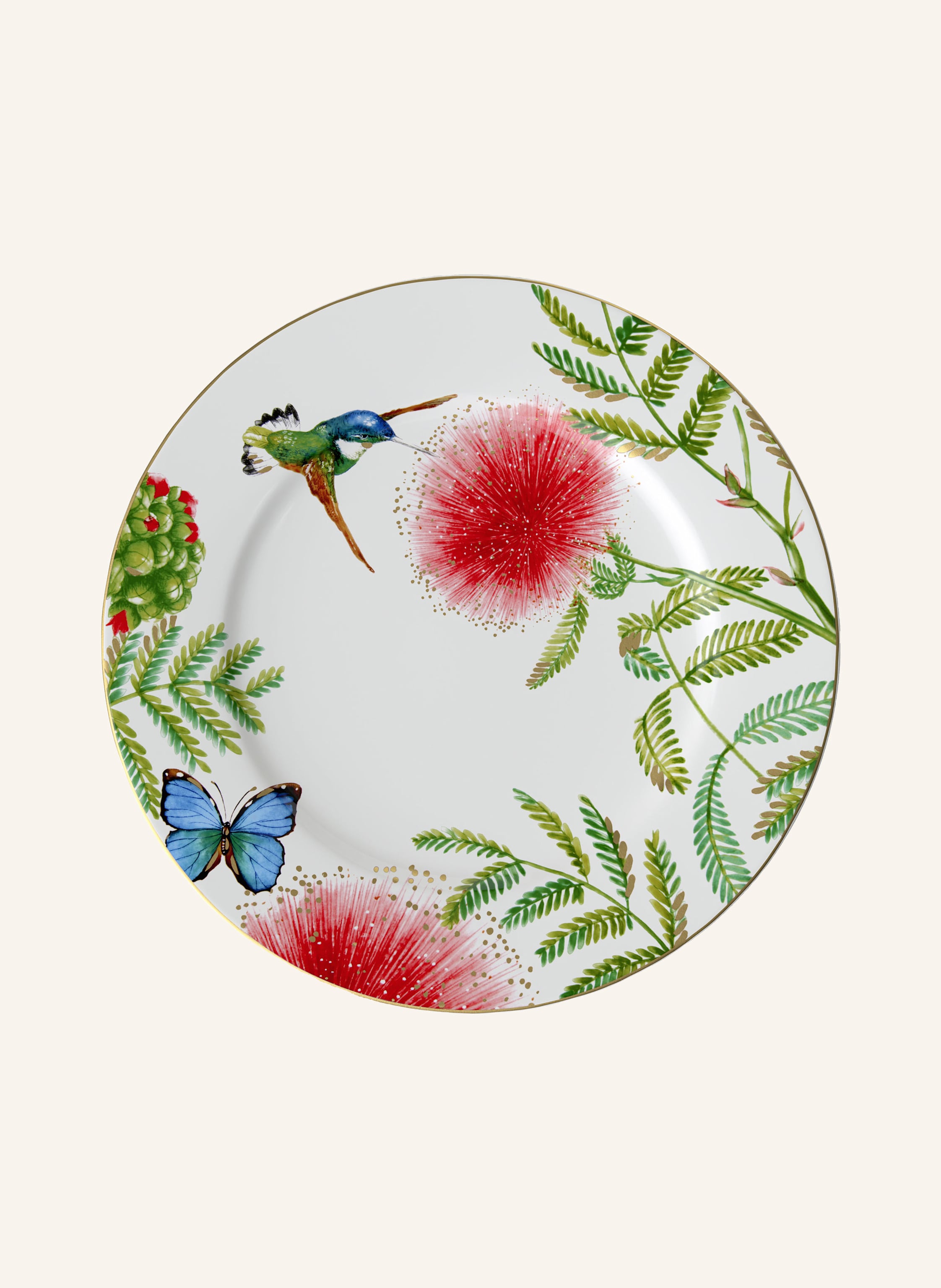 Villeroy & Boch Gourmetteller AMAZONIA