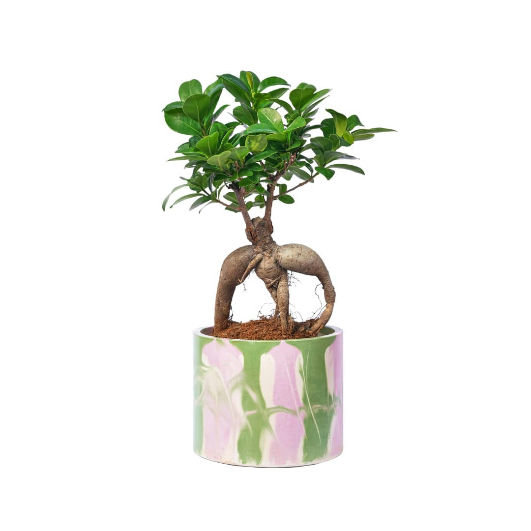 CACHE-POT XXL TIE&DYE - Cache-pot xxl tie&dye en béton rose et vert