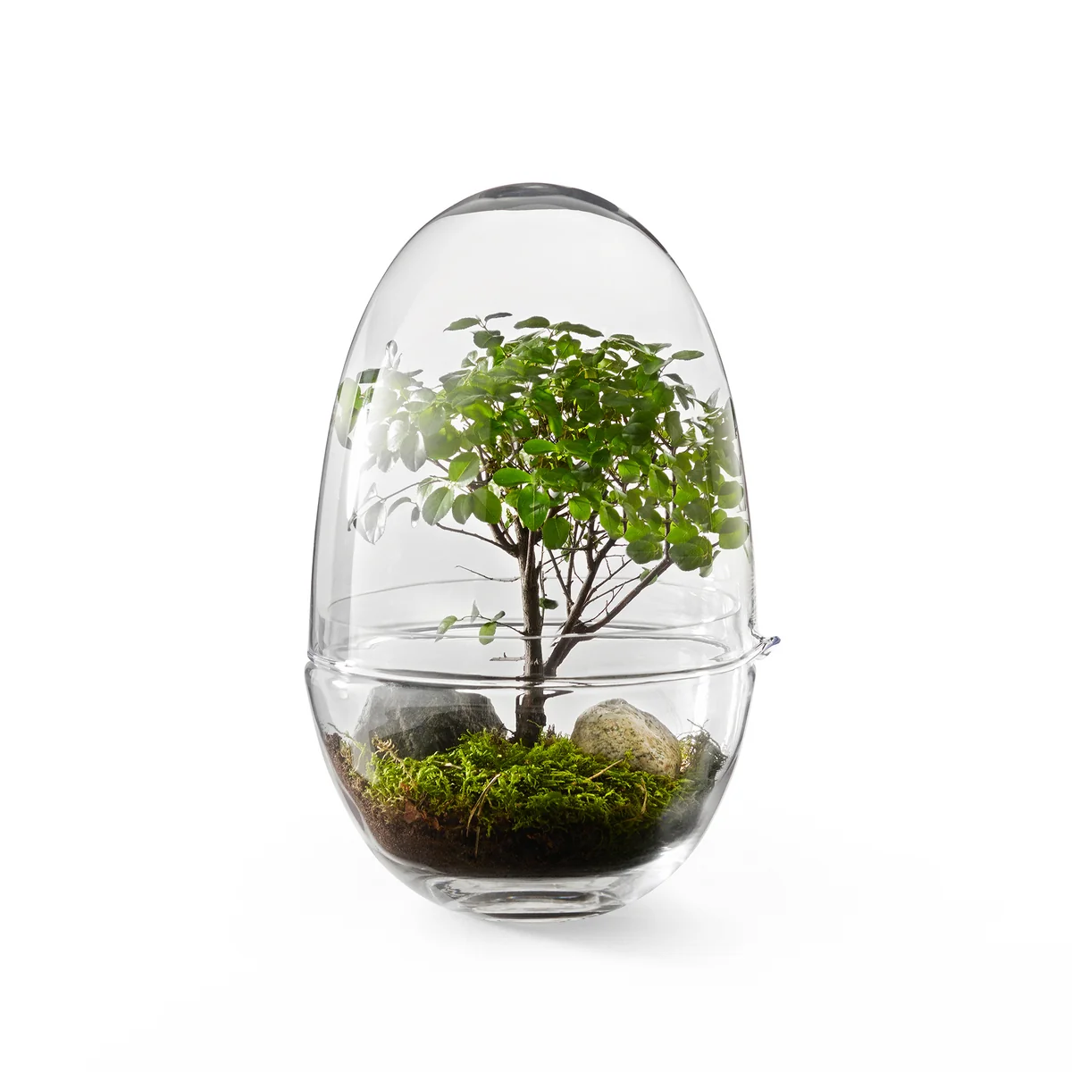 Design House Stockholm - Grow Gewächshaus