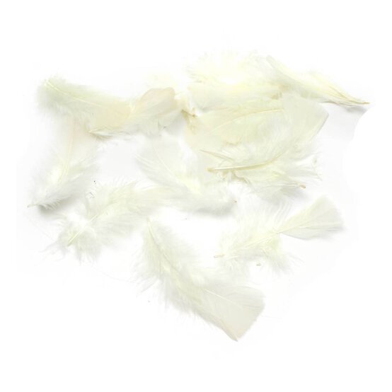Ivory Craft Feathers 5g