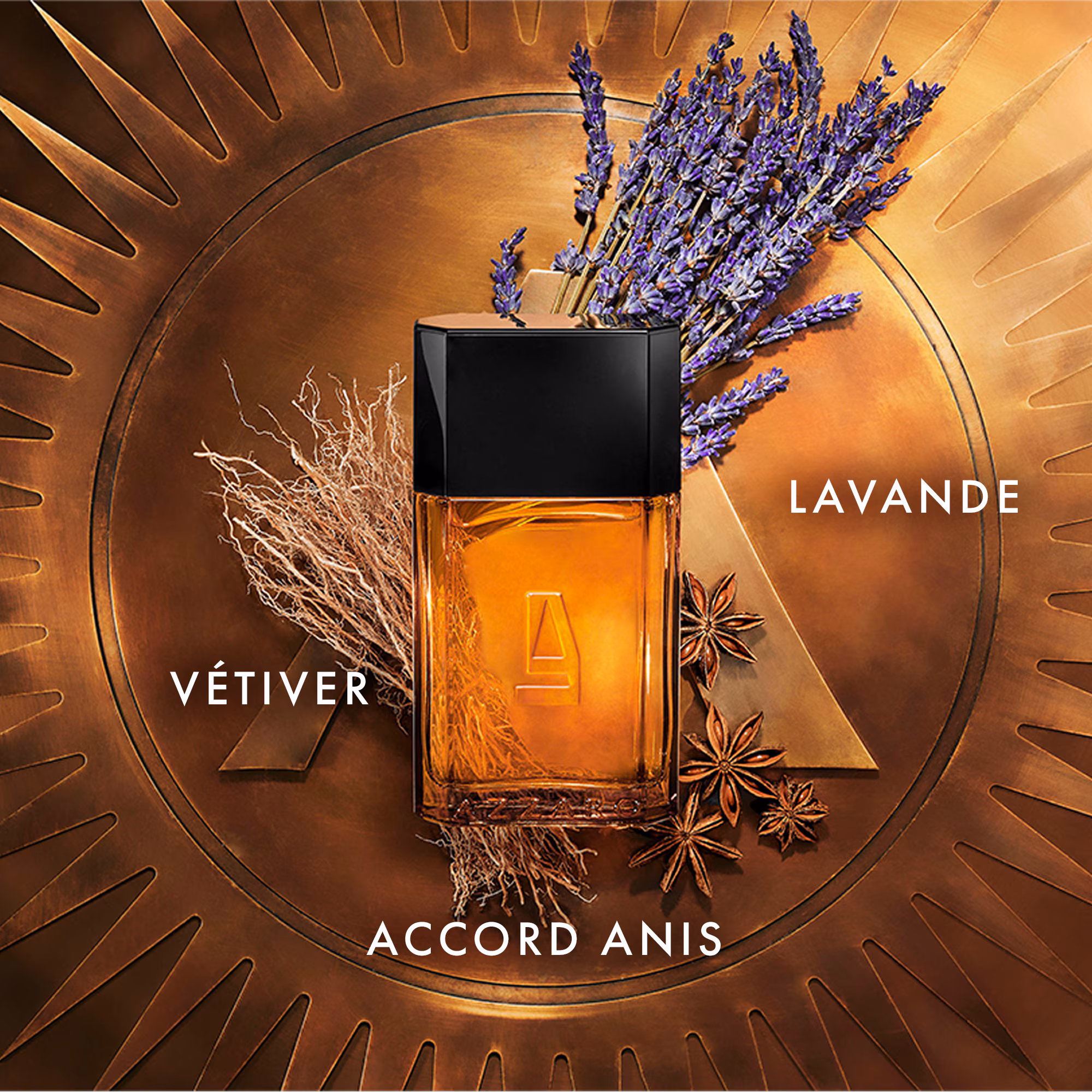 POUR HOMMEEau de toilette