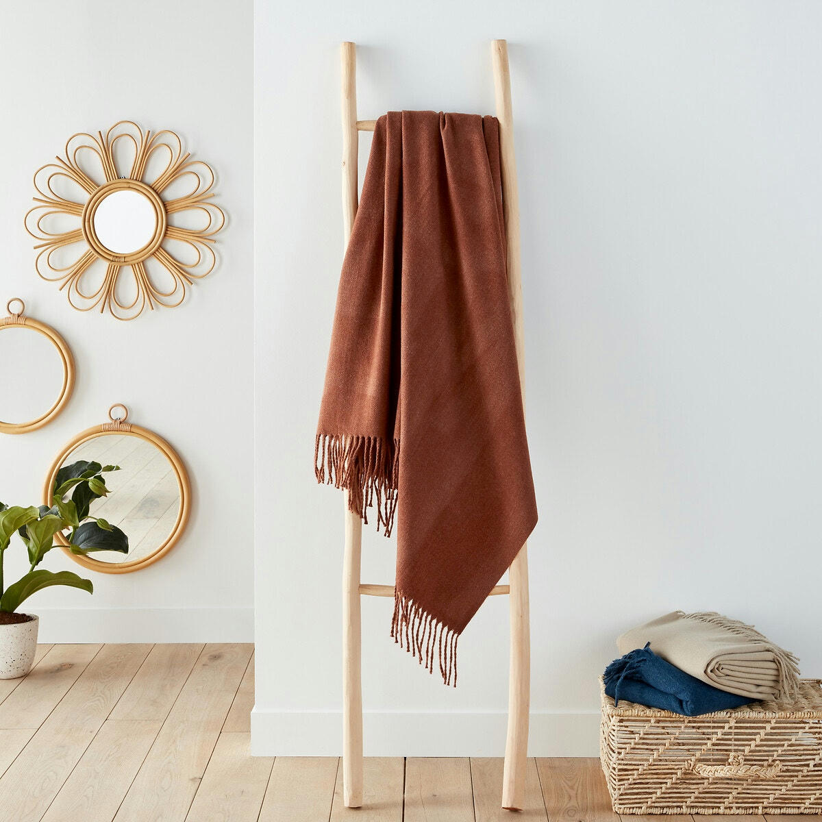 Plaid doux, Absis