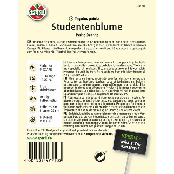 Studentenblume »Petite Orange«, einjährig, frühe Blüte, unempfindlich, Höhe ca. 25 cm