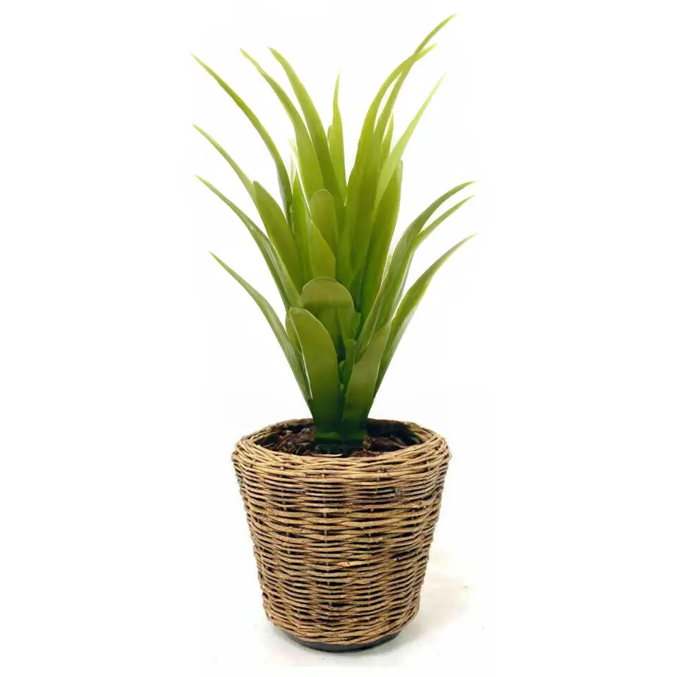 Van der Leeden Planten mand - rond - rotan - gevlochten - 32x29cm