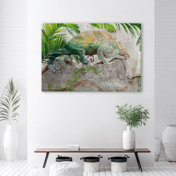 Feeby Obraz na płótnie, Kameleon na gałęzi dżungla 60x40