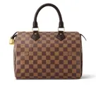 LV Speedy 25 Damier Ebene Women Handbag