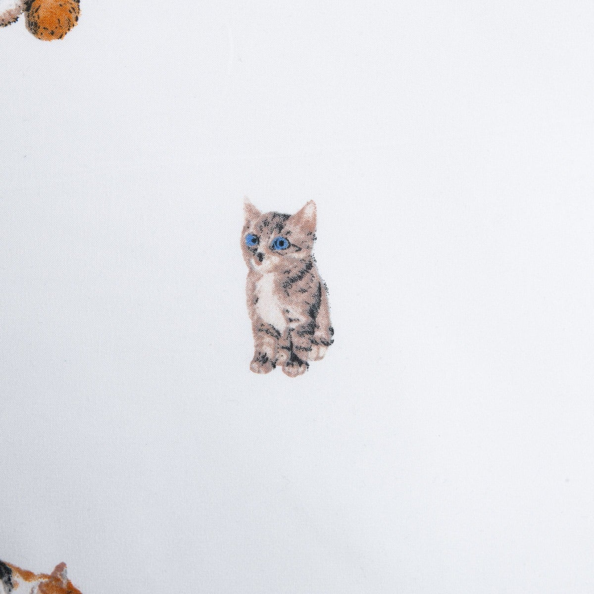 POŚCIEL GATTINO z mikrofibry w kotki 220X200 2X[50X60]