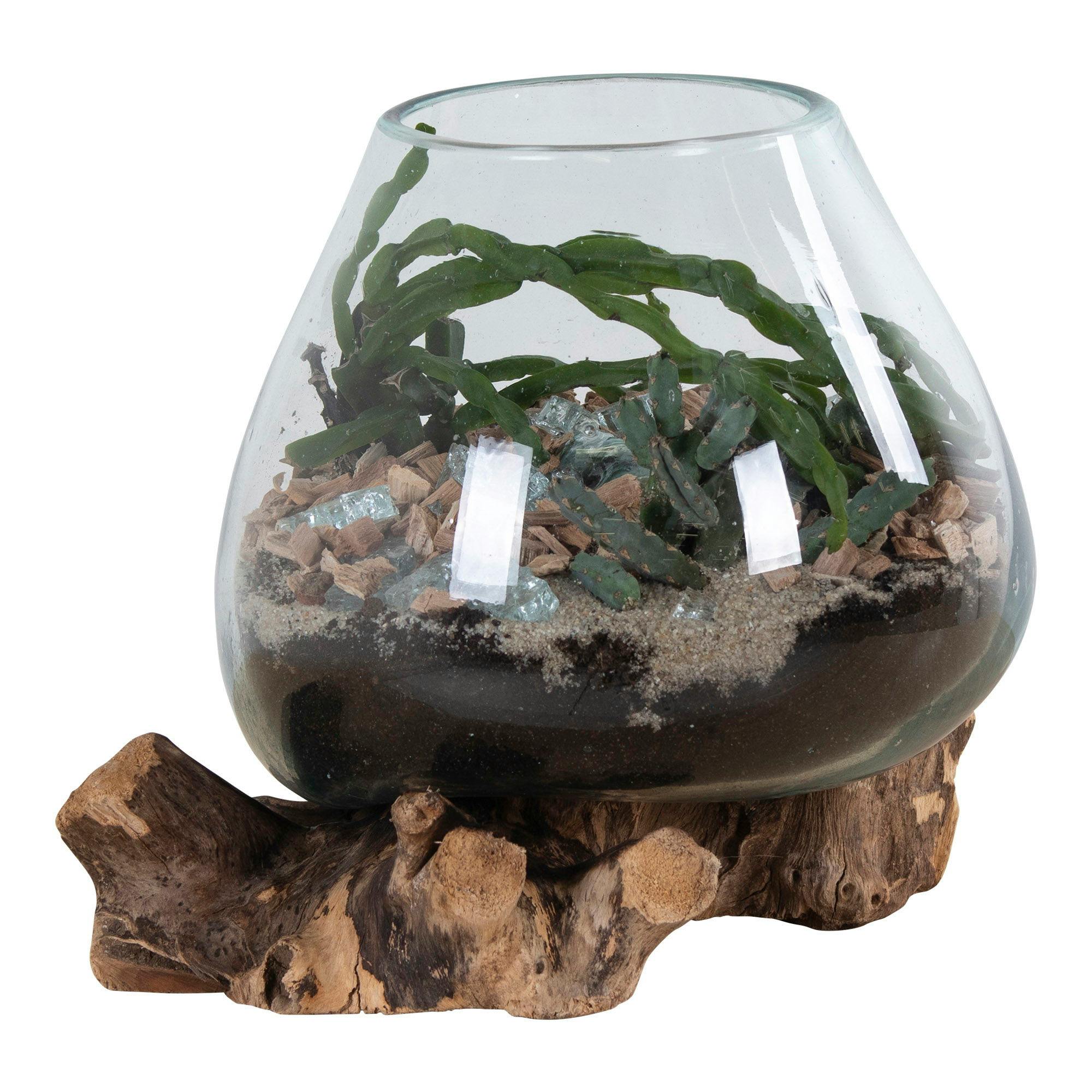 Vase verre soufflé et racine teck, artisanal H 20 cm ARIZONA