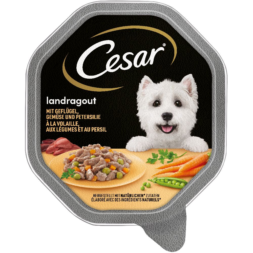Cesar Country Kitchen in Gravy Trays