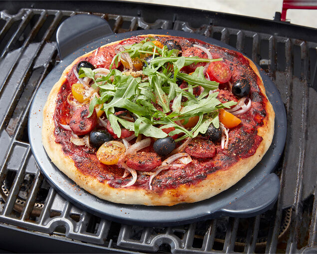 Ziggy Elite Twin Grill Natural Gas BBQ - Gunmetal Grey