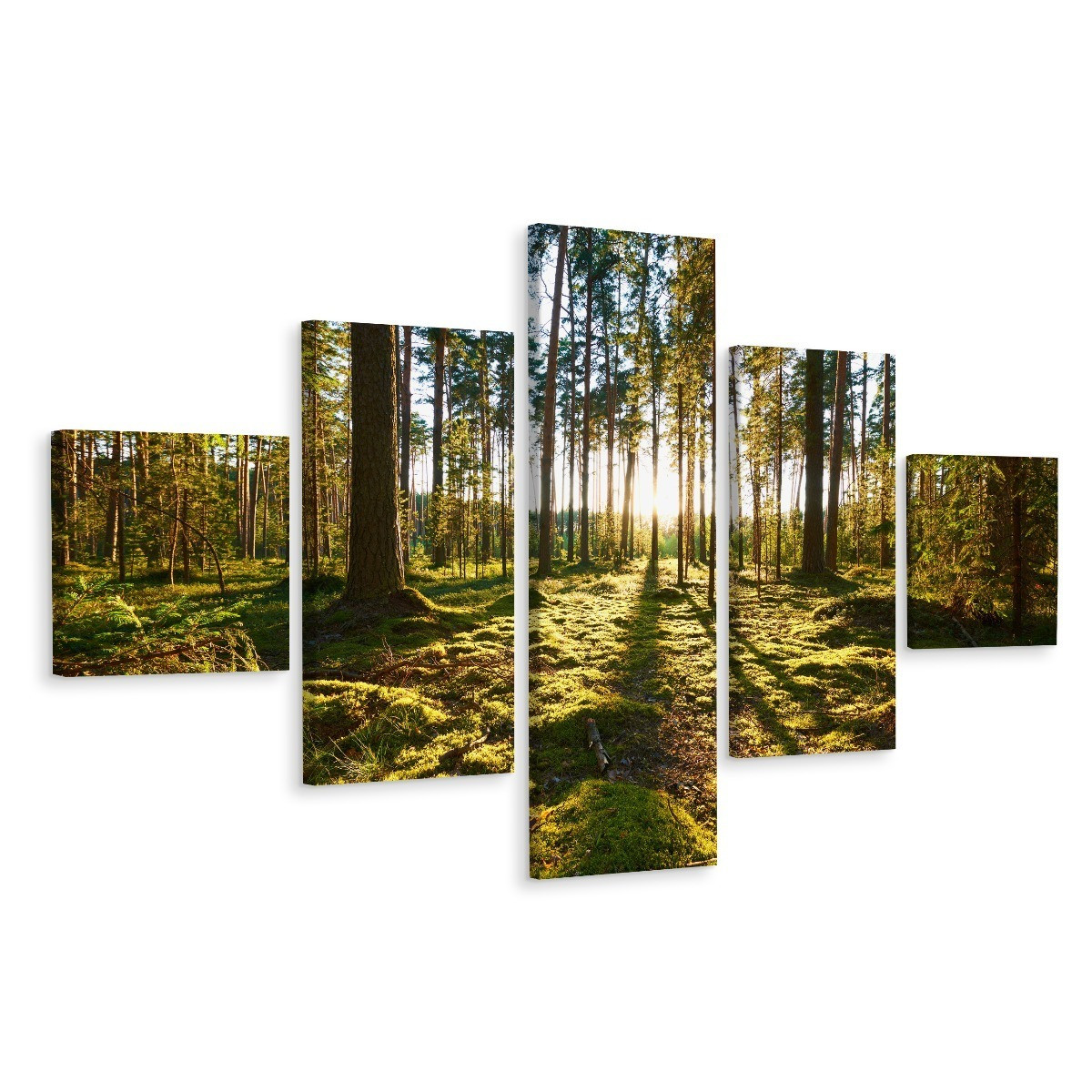 Obraz Wieloczęściowy LAS Drzewa Trawa Zieleń 3D 150x90cm